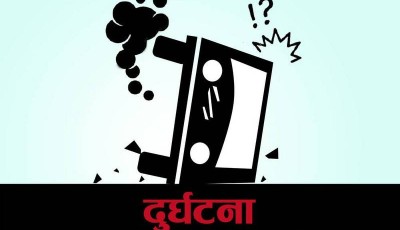 सर्लाहीमा नापी कार्यालयका प्रमुख चढेको भारतीय नम्बर प्लेजको जीप दुर्घटना : १० जना घाइते Image