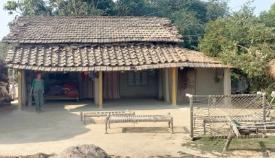 हराउँदै थारु समुदायको परम्परागत घर Image