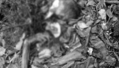 पनौतीको चौकोट जंगलमा मानव अस्थिपञ्जर फेला Image