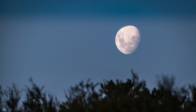 चन्द्रमाका १० रोचक तथ्य, जो धेरैलाई थाहा छैन Image