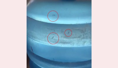 पशुपति स्प्रिङ वाटर उद्योगले उत्पादन गरेको एभरेष्ट जारको पानीमा लामखुट्टेको लार्भा भेटियो Image