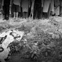 दाङमा दिनदहाडै खुकुरी प्रहार, एक महिलाको घटनास्थलमै मृत्यु Image